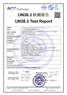 JW_N21700CM_UN38.3